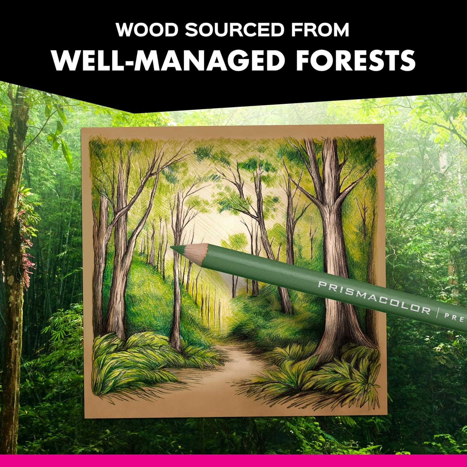 imagePrismacolor Premier Colored Pencils Portrait Set Soft Core Adult Coloring 24 PackPortrait