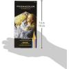 imagePrismacolor 2427 Premier Verithin Colored Pencils 24Count12 Count Pack of 3