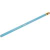 imagePrismacolor ColErase Erasable Colored Pencils NonPhoto Blue 12Count  20028NonPhoto Blue
