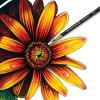 imagePrismacolor Premier Colored Pencils Black LeadBlack Barrels 12Pk 336312count  Black