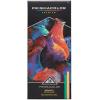 imagePrismacolor Premier Nupastel Firm Pastel Color Sticks Adult Coloring 36 Pack36 Count Pack of 1