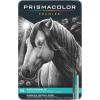 imagePrismacolor Premier Turquoise Graphite Sketching Pencils Medium Leads Adult Coloring 12 PackGraphite Drawing Set